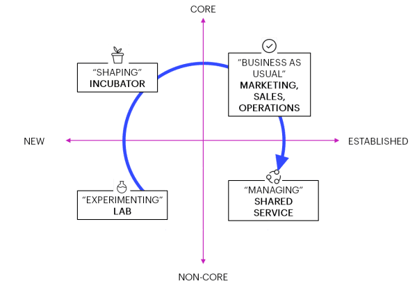 Depiction of a Capability Lifecycle 