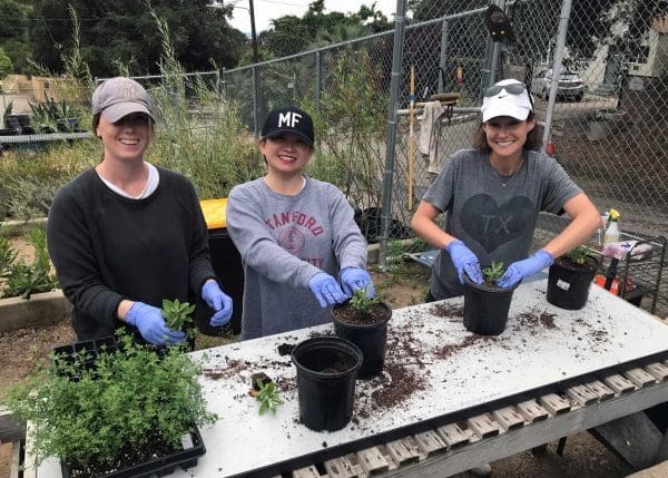 Co-Workers Planting in Garden